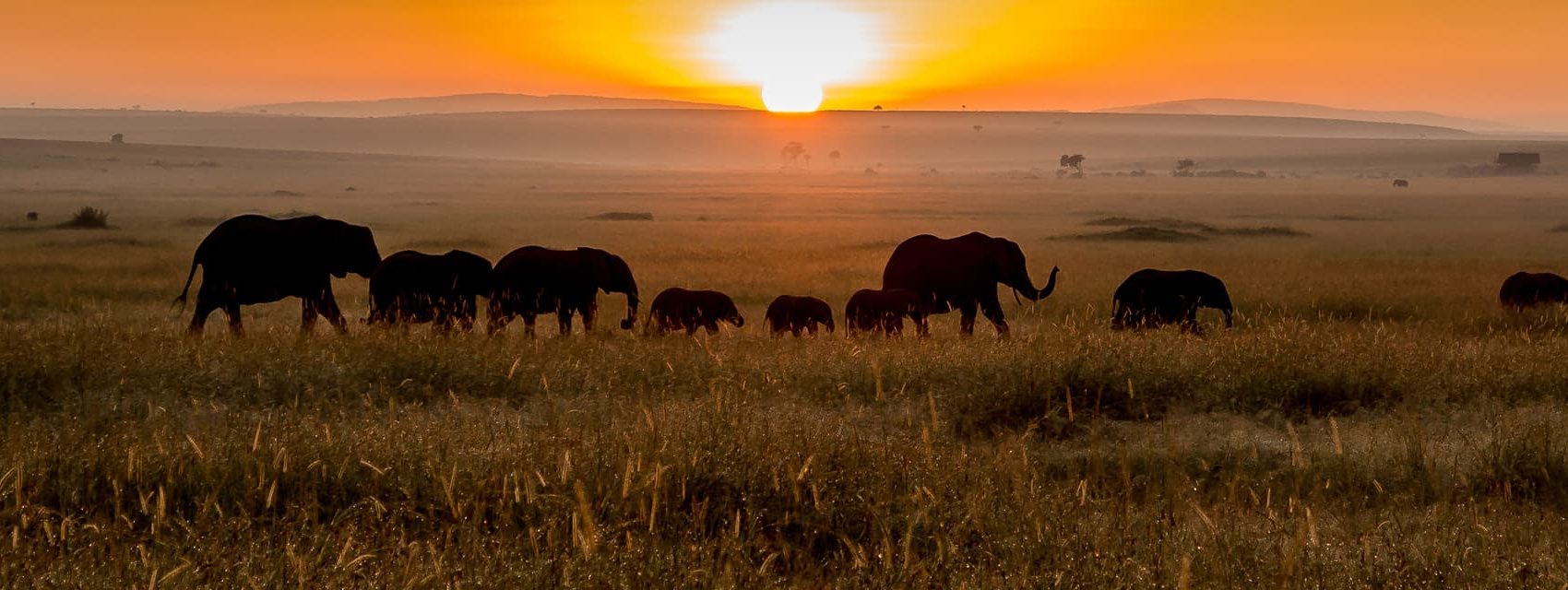 8 Days Budget Mahale Chimpanzee and Katavi Safari from Arusha