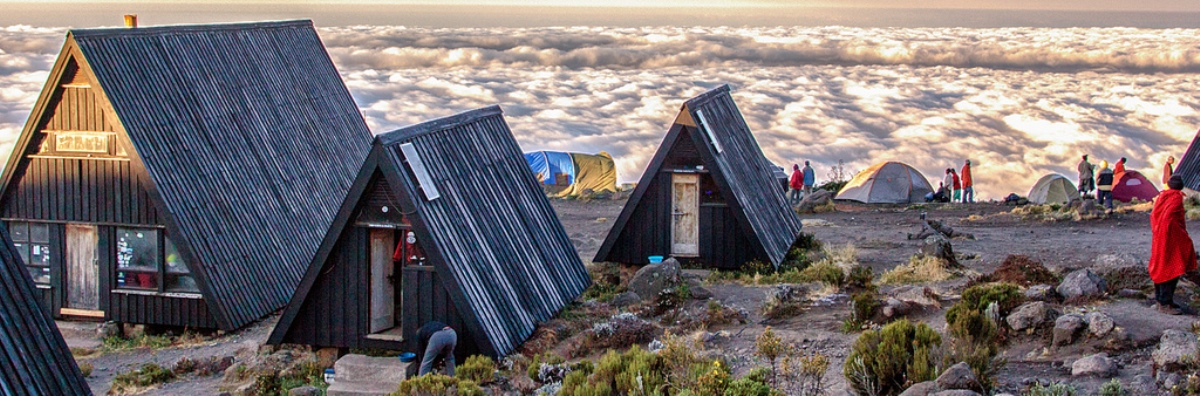 6 Days Marangu Route Kilimanjaro Climb from Kilimanjaro Airport – Luxury Small Group Trek