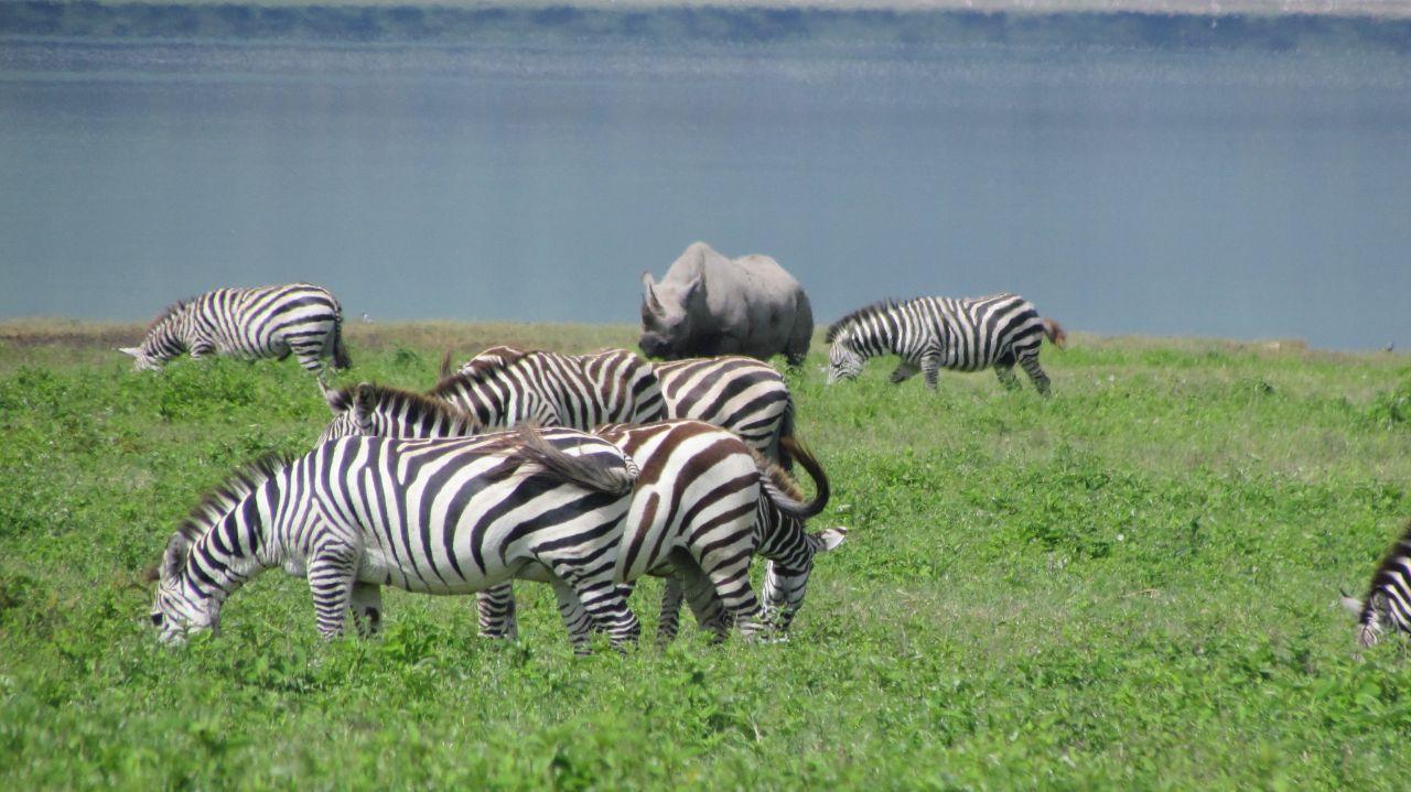 5 Days Budget Lake Manyara and Ngorongoro Safari from Arusha