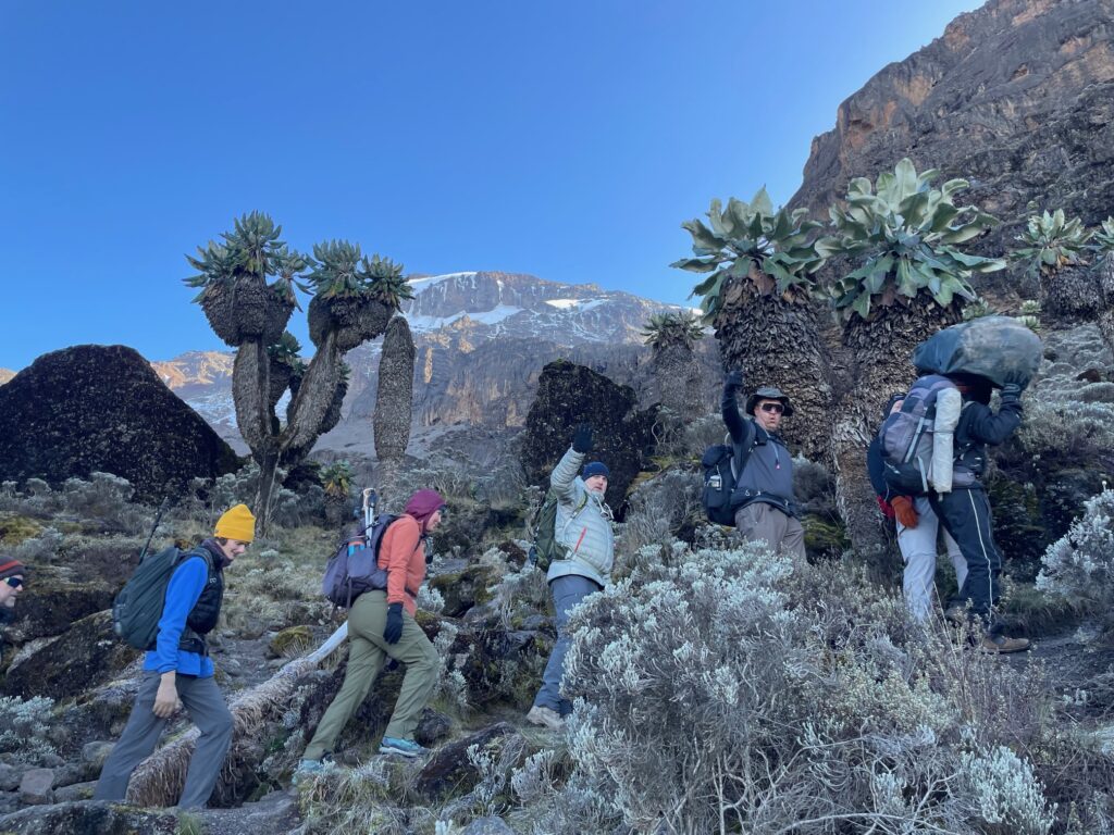 8 Days Lemosho Route Kilimanjaro trekking package