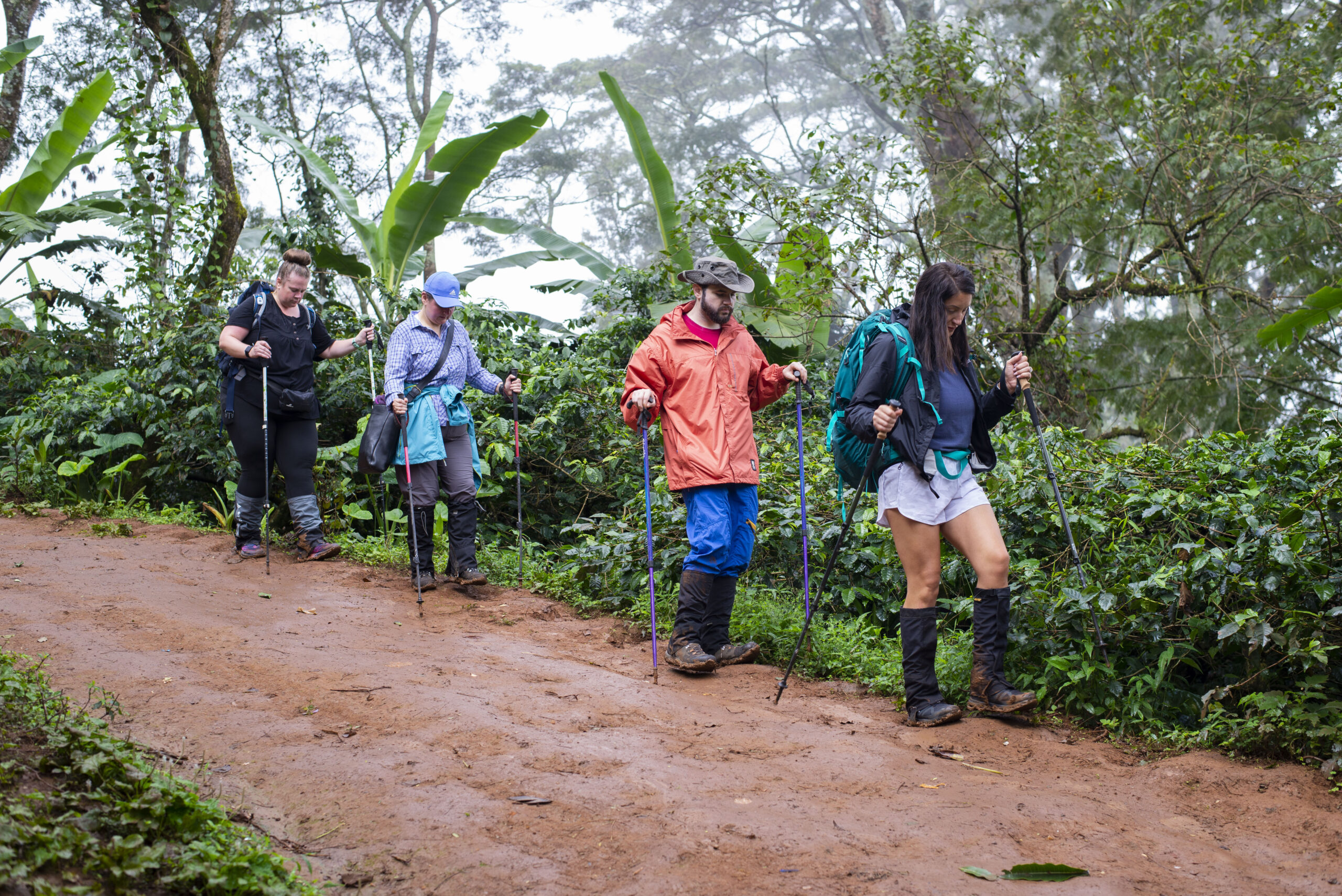 Mount Kilimanjaro Day trip