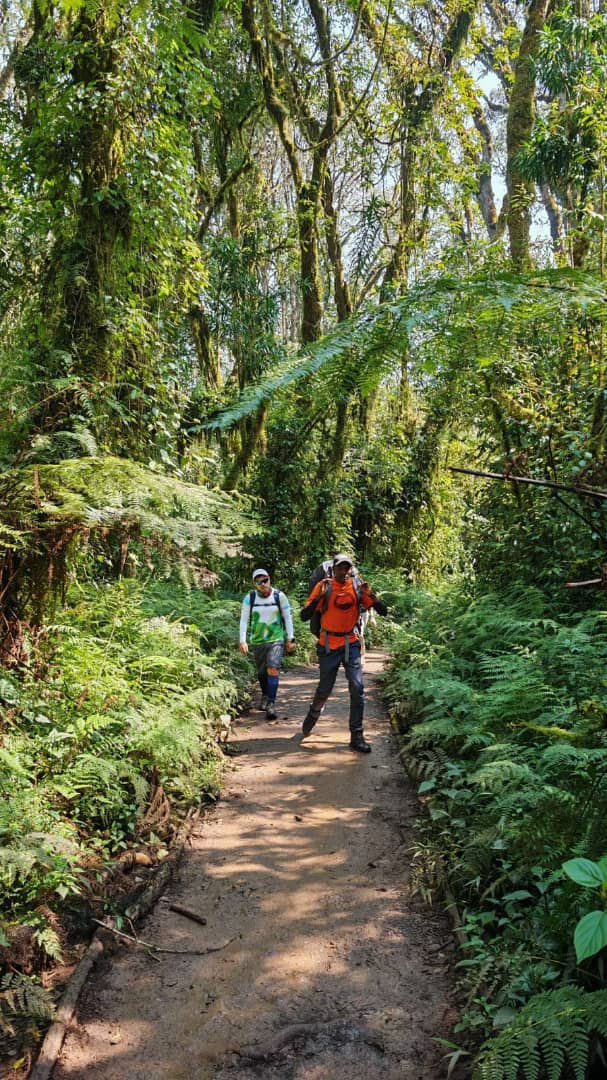 Why the 7 Day Machame Route Kilimanjaro Is So Popular